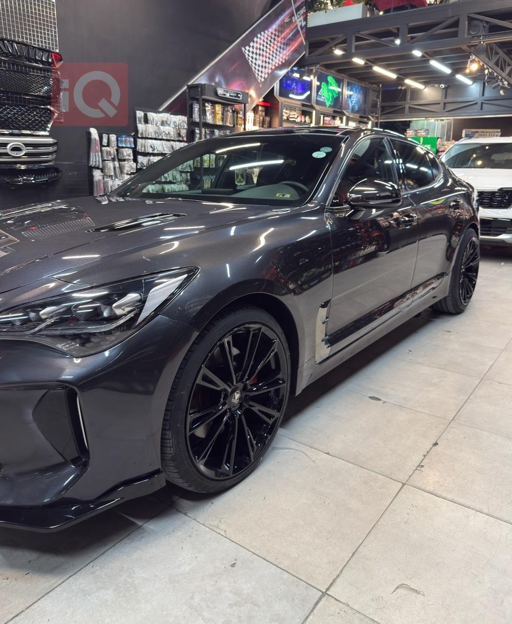 کیا ستینگەر